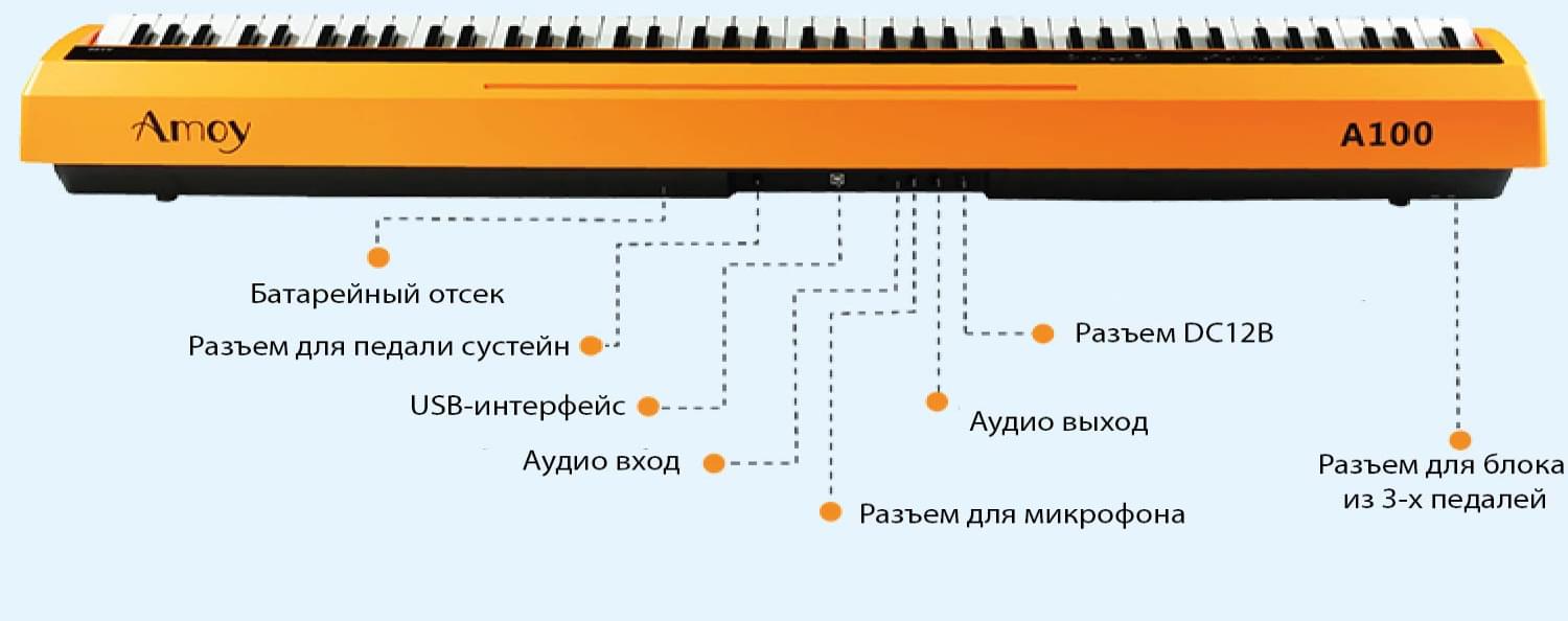 Цифровое пианино amoy panel_info